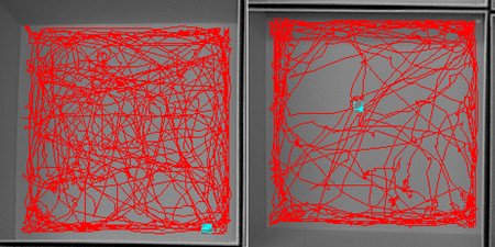 Left: Red lines crisscross a square evenly. Right: Red lines are mostly clustered at the four walls of the square.