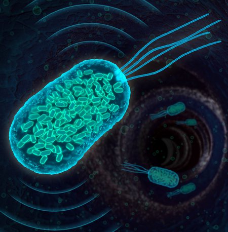 Illustration of genetically engineered bacteria 