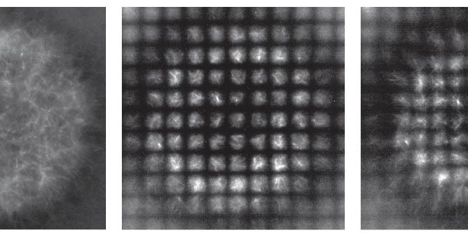 Three black and white images showing a contracting sphere with a black grid on top