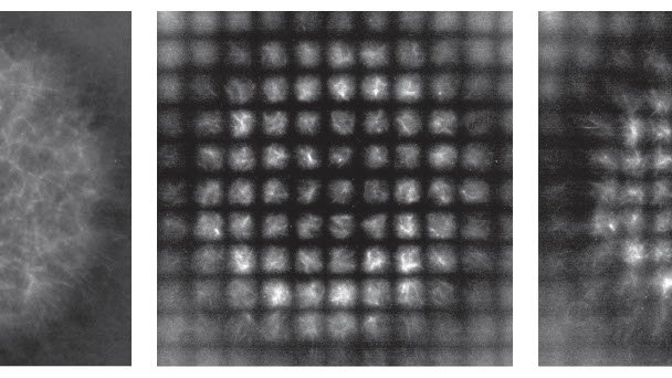 Three black and white images showing a contracting sphere with a black grid on top