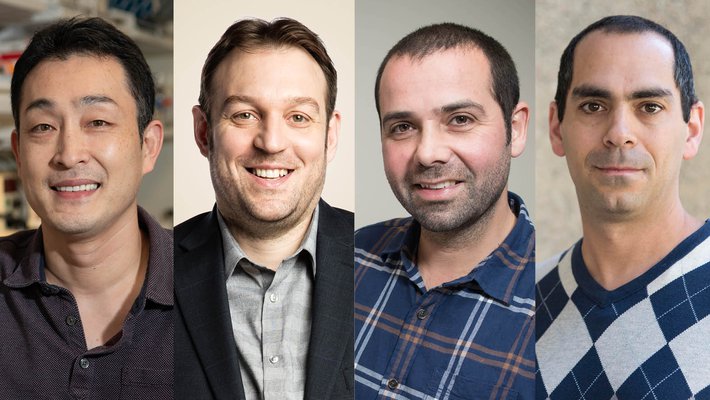 Left to right: Yuki Oka, Stevan Nadj-Perge, Joe Parker, Omer Tamuz