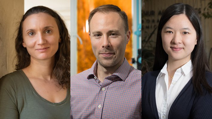 Katerina Chatziioannou, Maxwell Robb, and Lu Wei