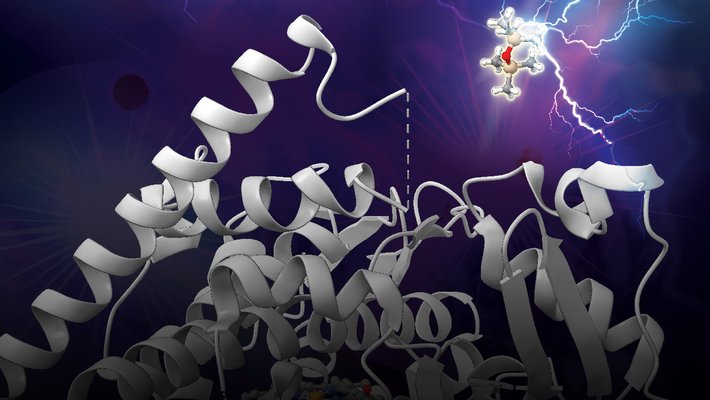 An artist's concept of a silicon-carbon bond being broken by an enzyme.
