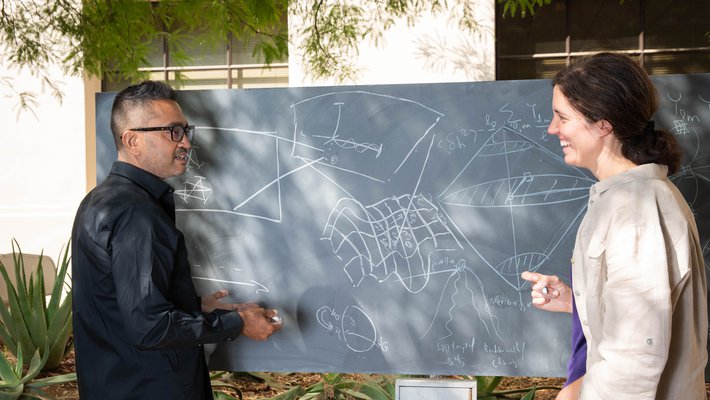 Rana Adhikari, left, and Kathryn Zurek, right.