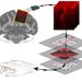 A diagram illustrating a brain connected to a cable, that reads out brain activity and creates maps of the brain's vasculature, that are then decoded with machine learning to predict movements
