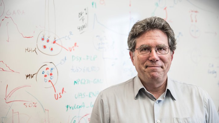David Anderson in front of a whiteboard with equations.