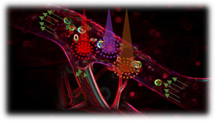 A computer generated image suggesting the flow of blood through a vessel.