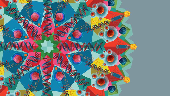 colorful digital drawing resembling a snowflake with biology and physics structures incorporated