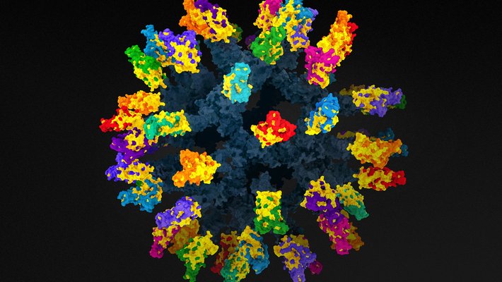 New coronavirus vaccine visualization effective against variants