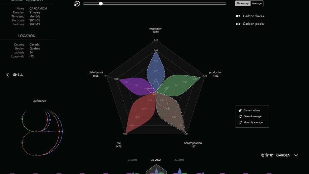 The flower plot in CLOVE showing the quantity of carbon fluxed in different pool types. The blue petal represents the amount of carbon fluxed due to respiration, green for production, brown for decomposition, red for fire, and purple for disturbance.