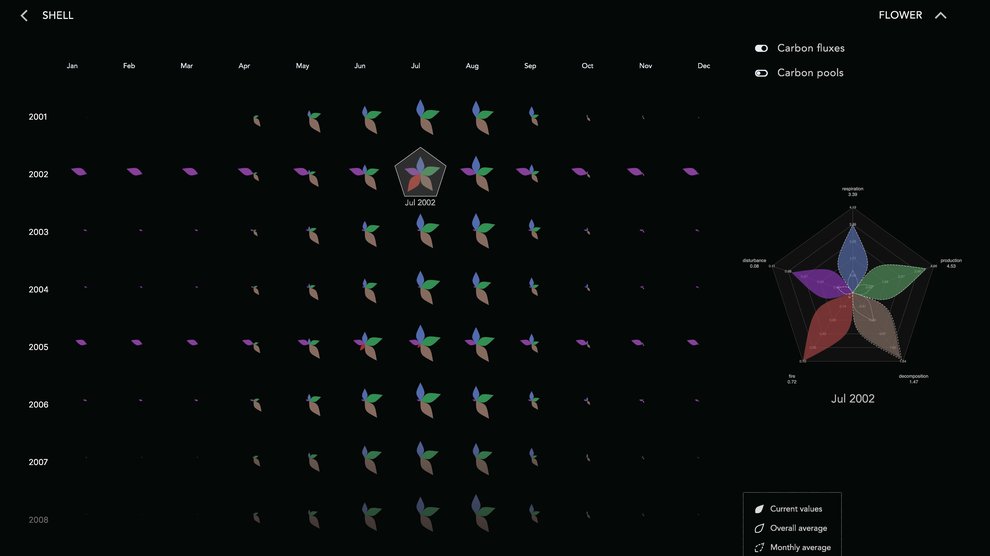 The garden layout in CLOVE showing multiple flower plots, representing the changes in carbon fluxed in different pool types over time.