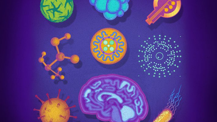 image from the April 2019 issue of "The Caltech Effect"