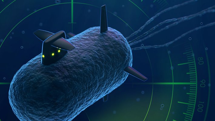 Artwork of cellular sonar