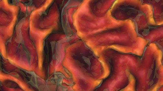 Detail of a rendering of a brain surface region from three-dimensional magnetic resonance images acquired from a healthy volunteer at the Caltech Brain Imaging Center.