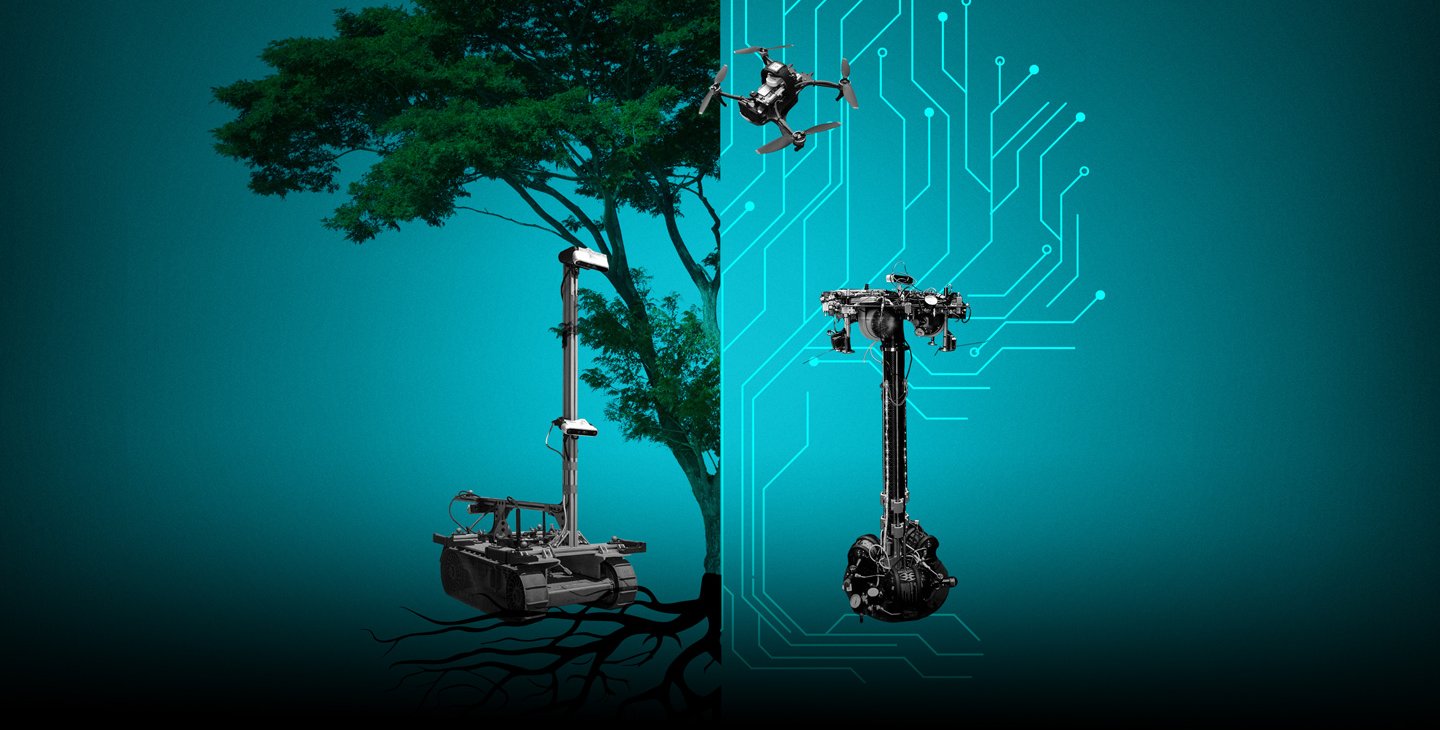 A conceptual image featuring a tree (shown as a photograph on the left and a computer science tree on the right) with three robotic systems (a tracked vehicle, a drone, and a spacecraft simulator) displayed in front of and around the tree.