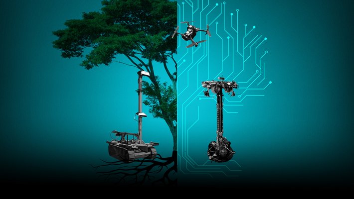 A conceptual image featuring a tree (shown as a photograph on the left and a computer science tree on the right) with three robotic systems (a tracked vehicle, a drone, and a spacecraft simulator) displayed in front of and around the tree.