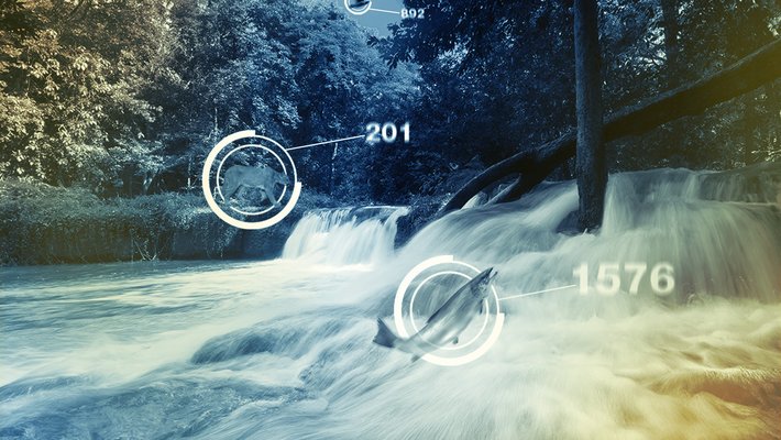 fish, mountain lions, wildlife with data notations