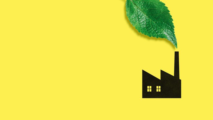 graphic showing building and large leaf on yellow background
