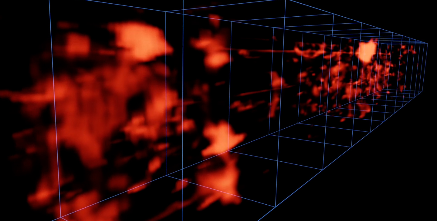 3-D picture of the cosmic web.