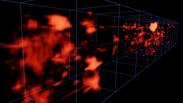 3-D picture of the cosmic web.