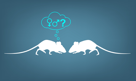 An illustration of two mice