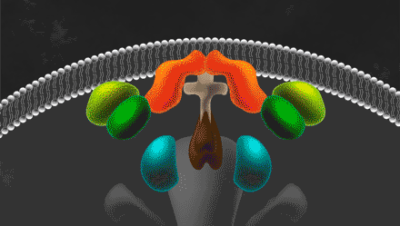 Animated gif of an artist's rendition of a cellular machine spewing toxic molecules.