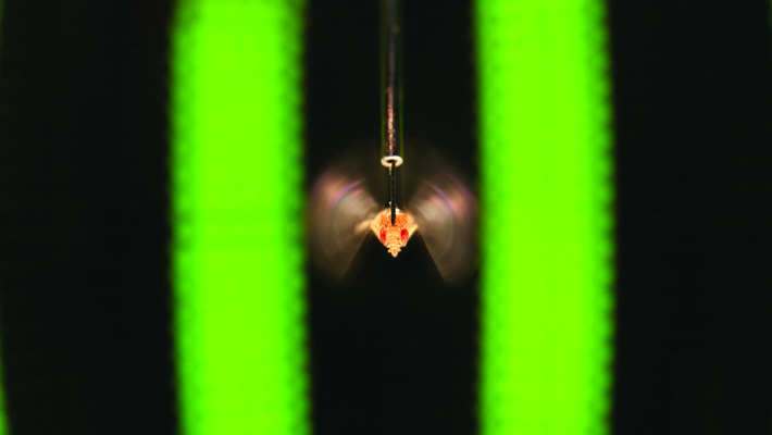 Michael Dickinson's Watson Lecture will be held at 8 p.m. on Wednesday, February 14, at Beckman Auditorium.