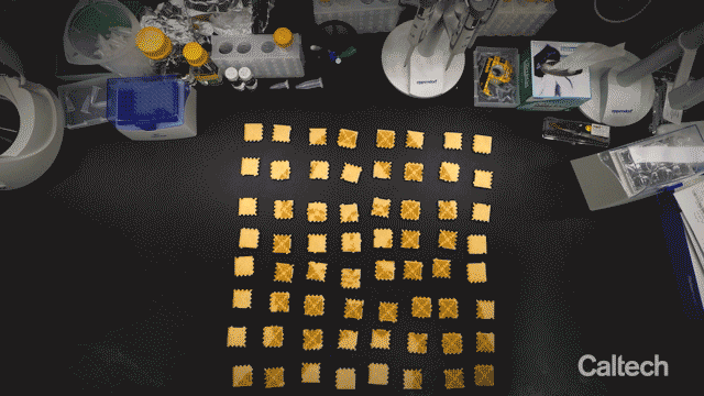 Gif of a wooden puzzle assembling