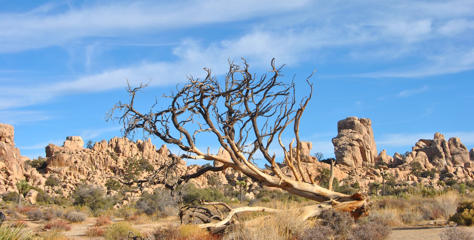 A dry desert landscape