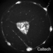 A black and white video shows a constellation of neurons lighting up