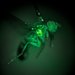 Close-up image of a glowing green fruit fly