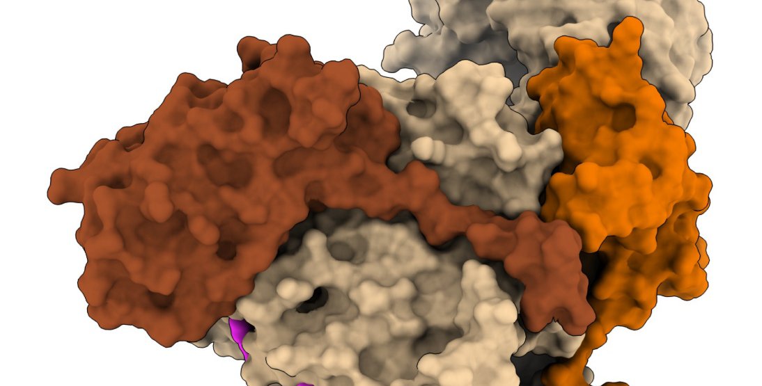 three dimensional structure of the EMC