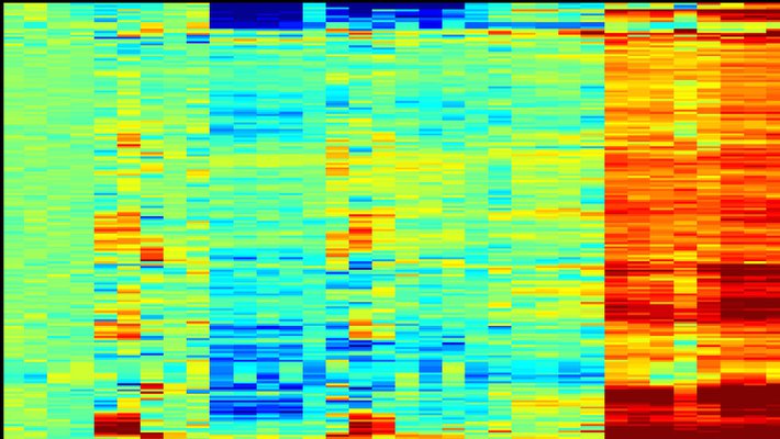 A heat map of gene expression