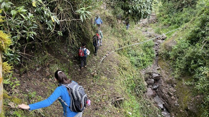 People hiking down a trail