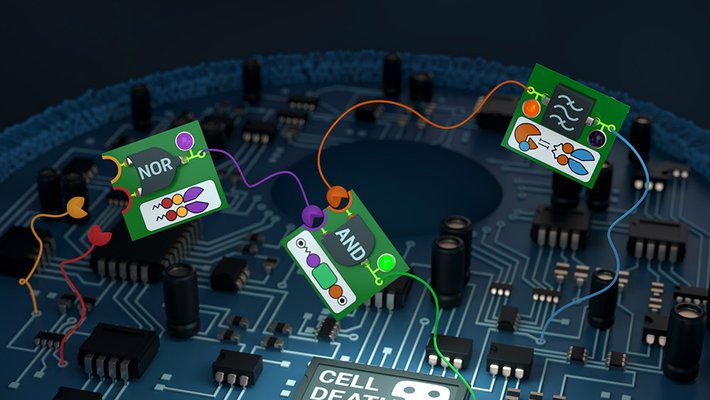 Artist's conceptual illustration of biological "circuits" in cells.