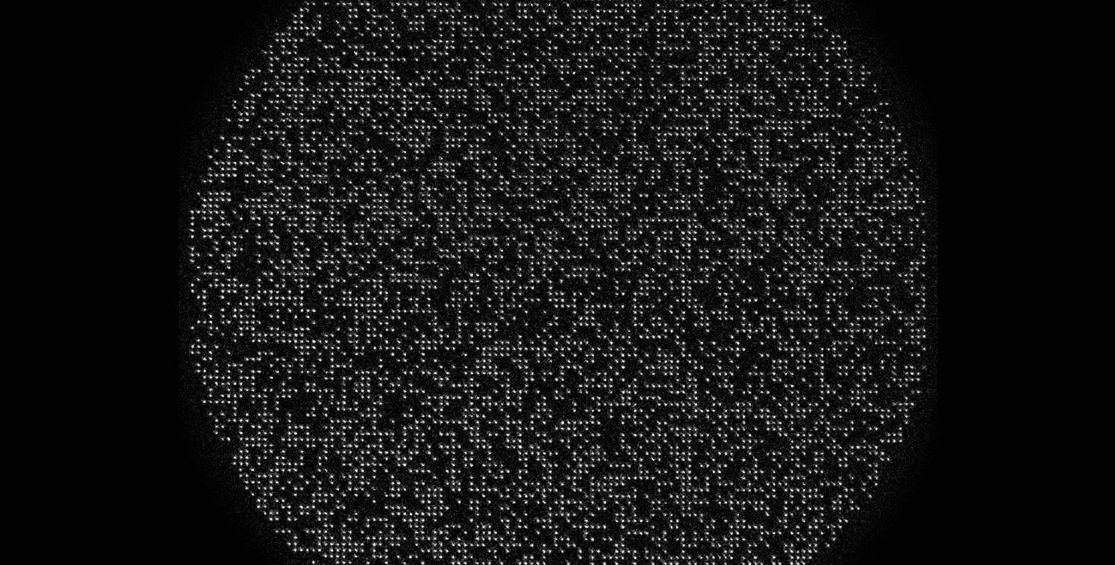 Thousands of white dots in a black circle.