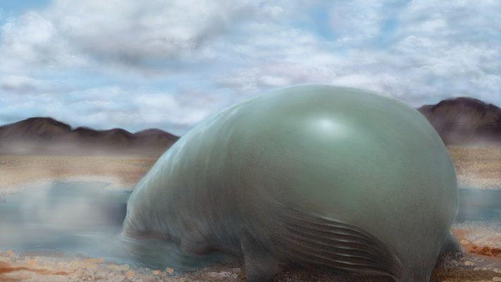 Artwork of organosilicon life