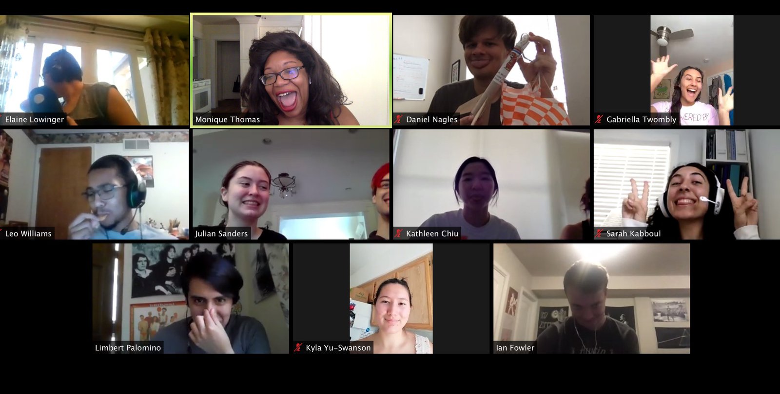 Screenshot of FSRI students on Zoom