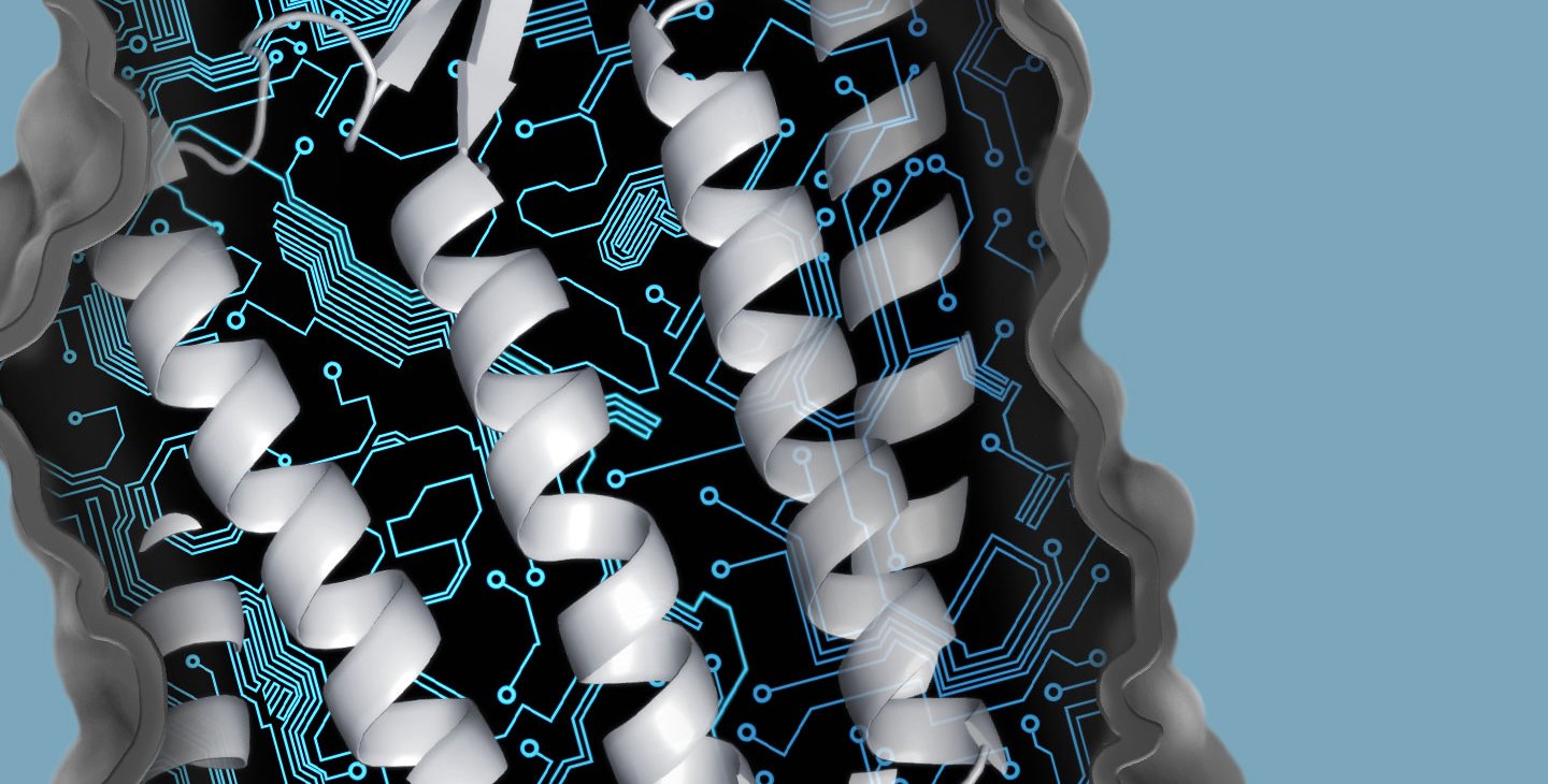 Illustration of a protein