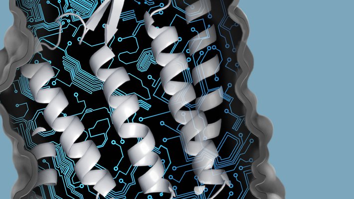 Illustration of a protein
