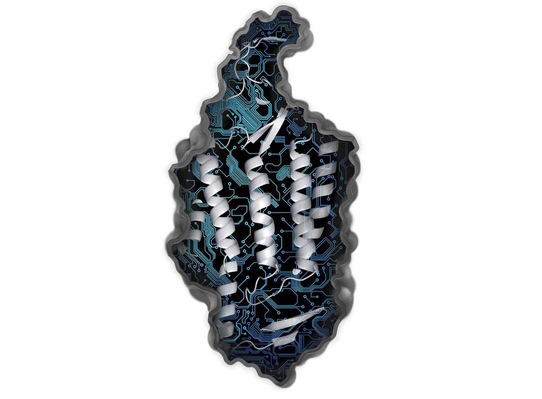 An illustration of a folded protein