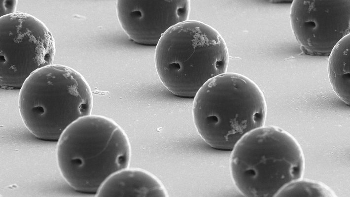 This scanning electron microscopy image of rows of the spherical hydrogel robots in this story clearly shows the two openings on each microrobot described in the piece.