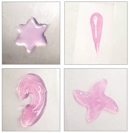 Four pink, gel-like shapes are pictured: a six-pointed star, something like an exclamation mark, a pinwheel, and an ear-like structure.