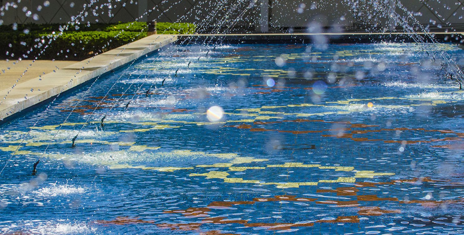 Photo of the Gene Pool