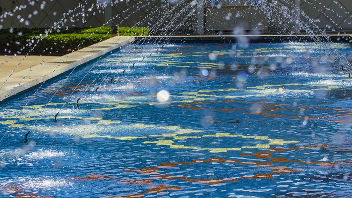 Photo of the Gene Pool