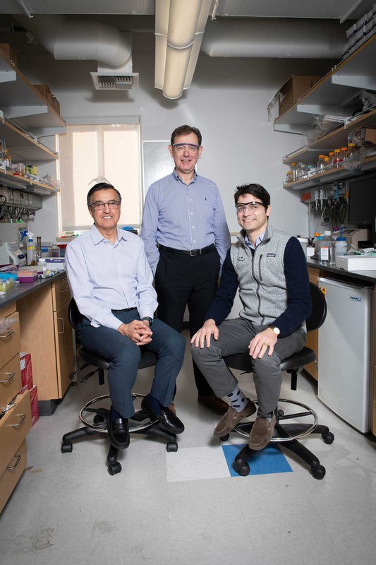 Gharib-Ortiz-Shapiro