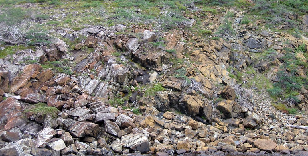 A field of rocks and boulders at the edge of a stream