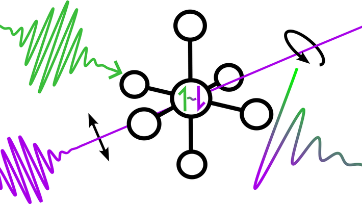 Irradiation of a specially designed molecule with a laser pulse generates an oscillating quantum mechanical superposition of two electron spin states