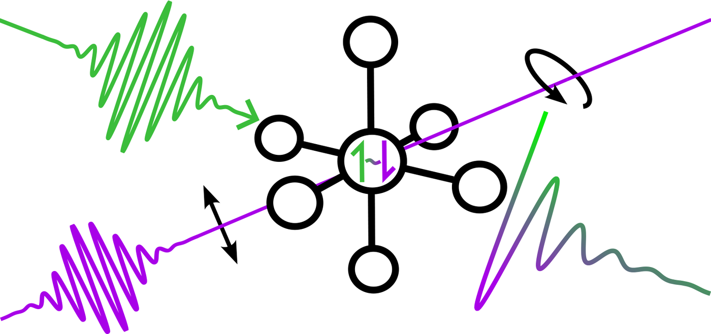 Irradiation of a specially designed molecule with a laser pulse generates an oscillating quantum mechanical superposition of two electron spin states