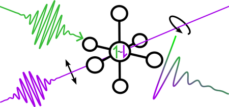 Irradiation of a specially designed molecule with a laser pulse generates an oscillating quantum mechanical superposition of two electron spin states